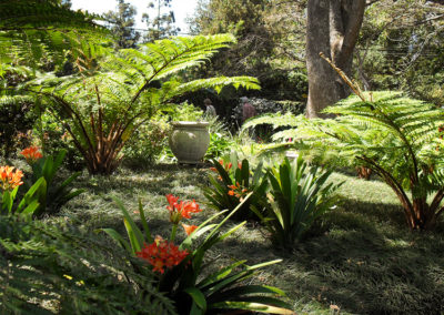 Ladybird Landscapes Landscaping