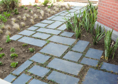 Ladybird Landscapes Paving