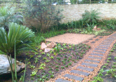 Ladybird Landscapes Planting