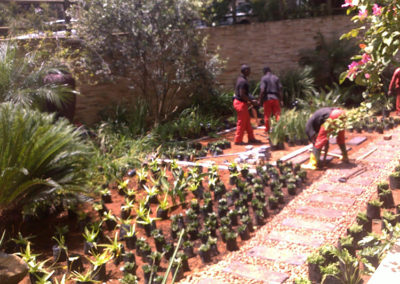 Ladybird Landscapes Planting