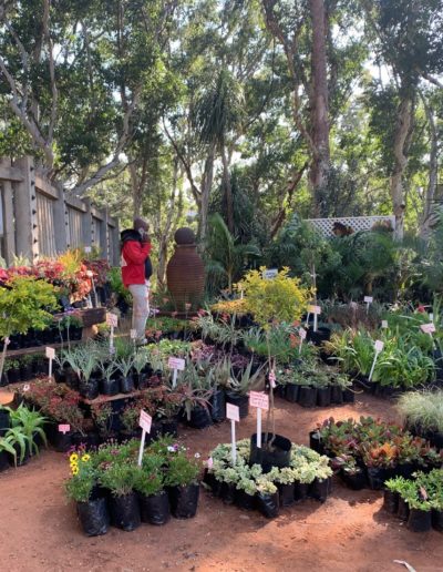 Ladybird Landscapes 44