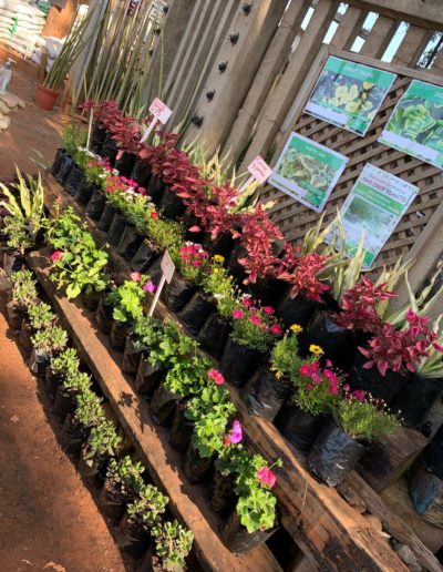 Ladybird Landscapes 42