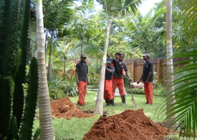 Ladybird Landscapes 36