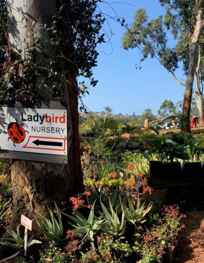 Ladybird Landscapes 41