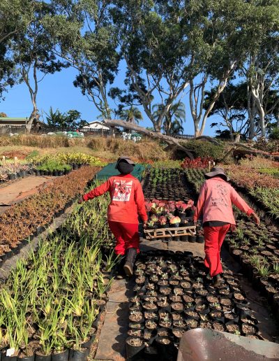 Ladybird Landscapes 25